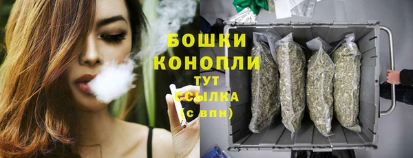 молекула духа Верея